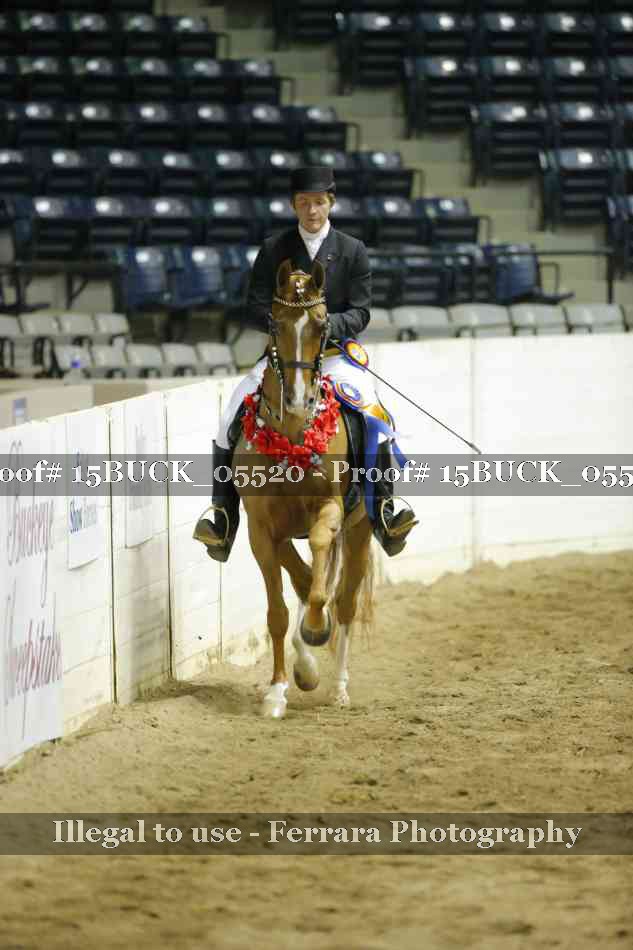 Proof Number 15BUCK_05520
