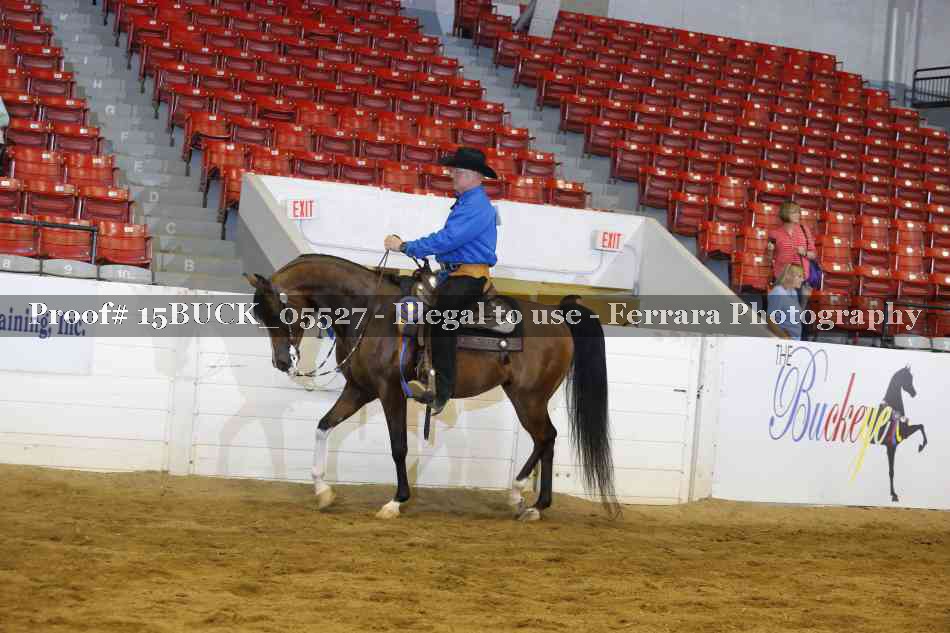 Proof Number 15BUCK_05527