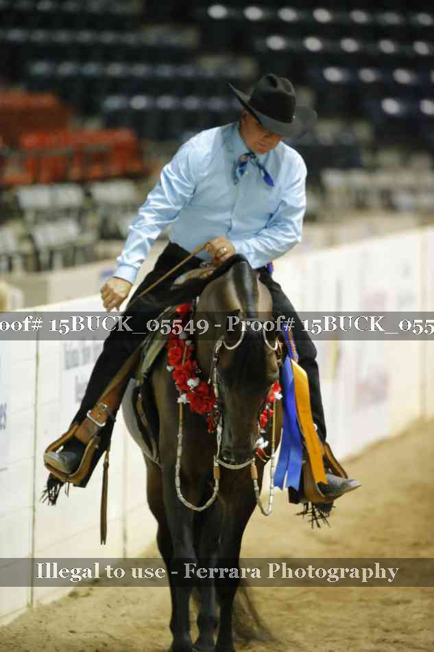 Proof Number 15BUCK_05549