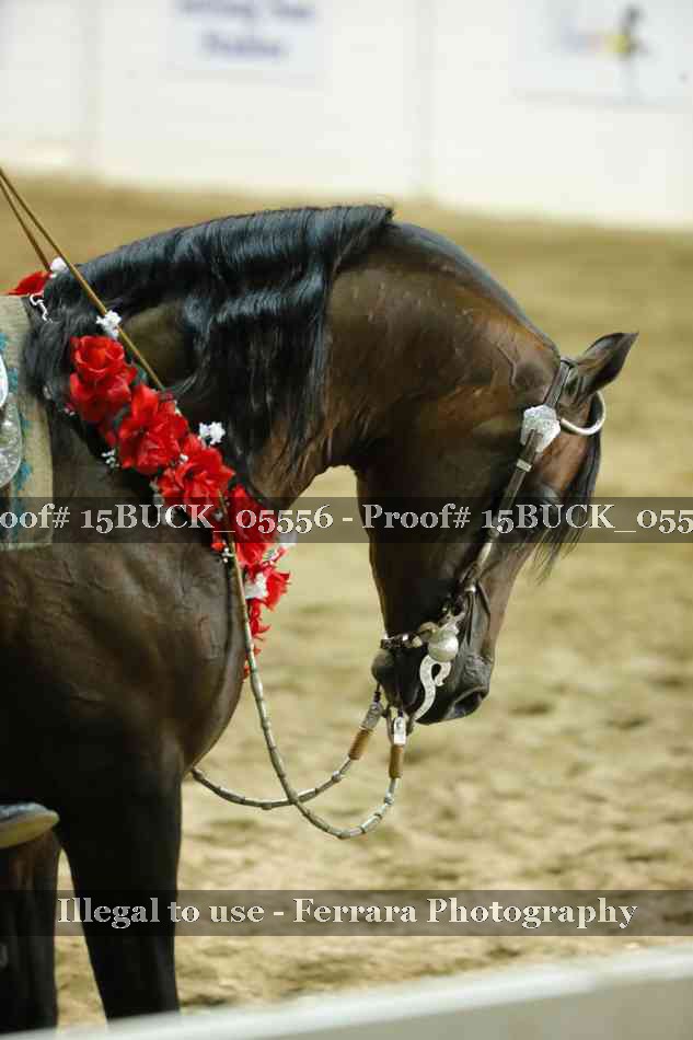 Proof Number 15BUCK_05556