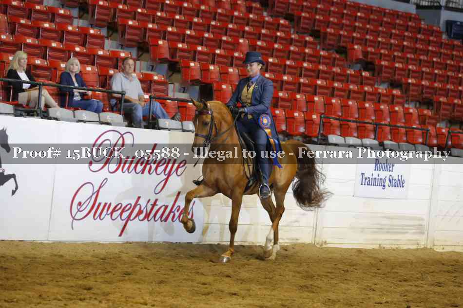 Proof Number 15BUCK_05588