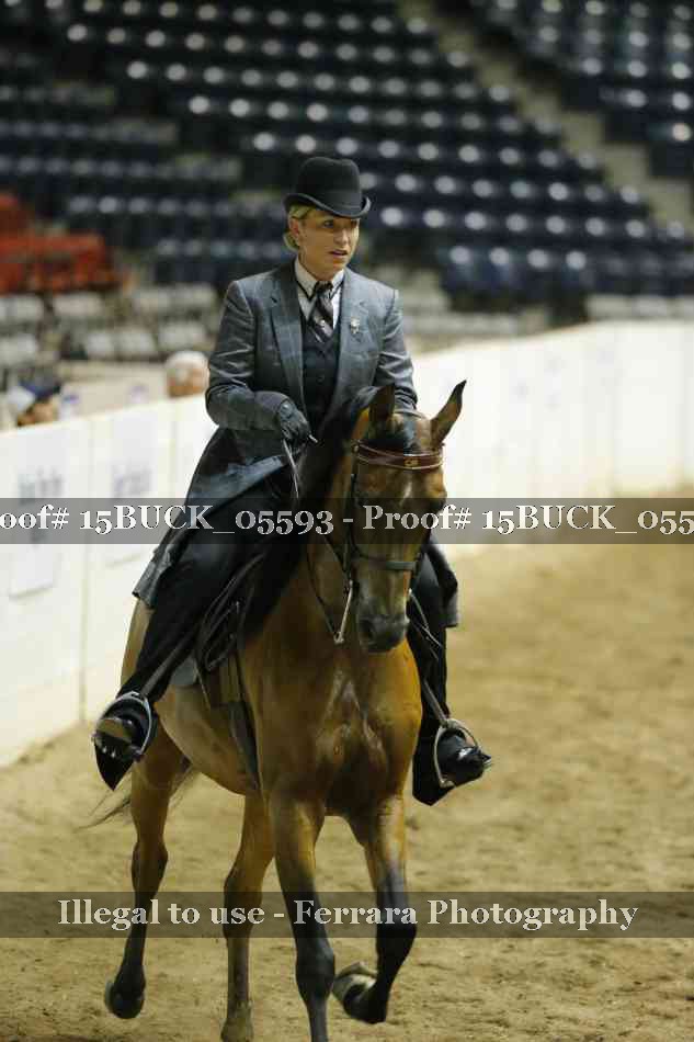 Proof Number 15BUCK_05593