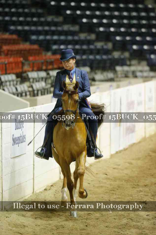 Proof Number 15BUCK_05598