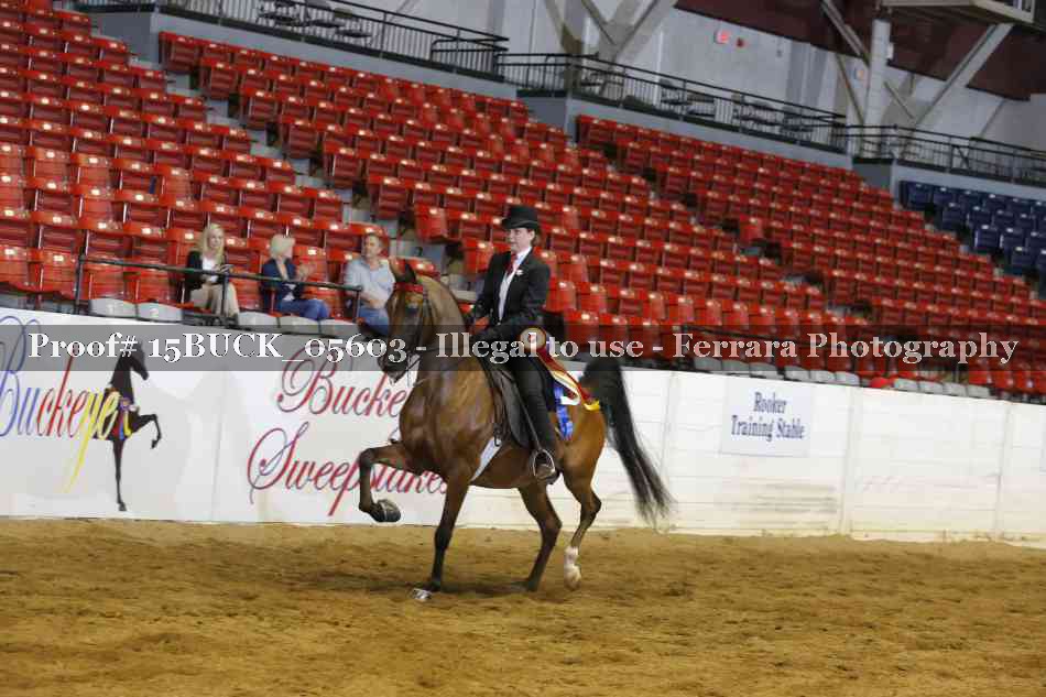 Proof Number 15BUCK_05603
