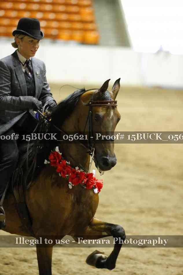 Proof Number 15BUCK_05621