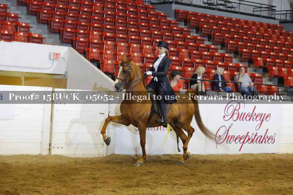 Proof Number 15BUCK_05652