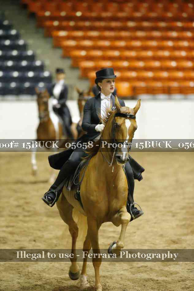 Proof Number 15BUCK_05658