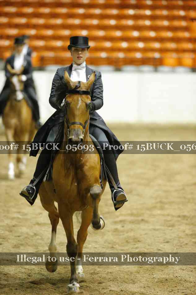 Proof Number 15BUCK_05693