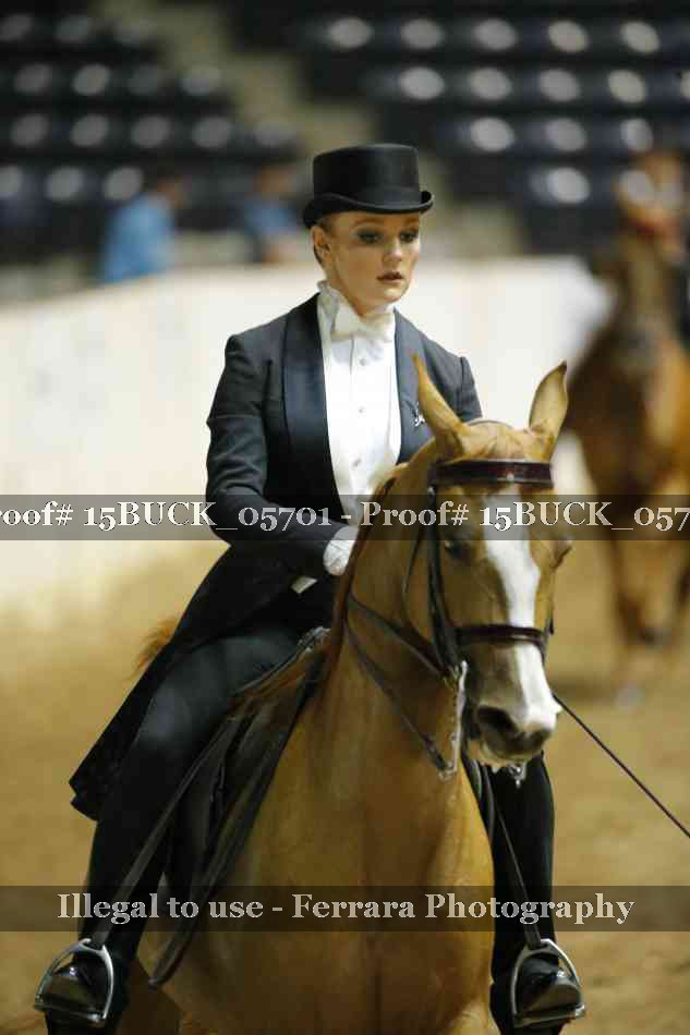 Proof Number 15BUCK_05701