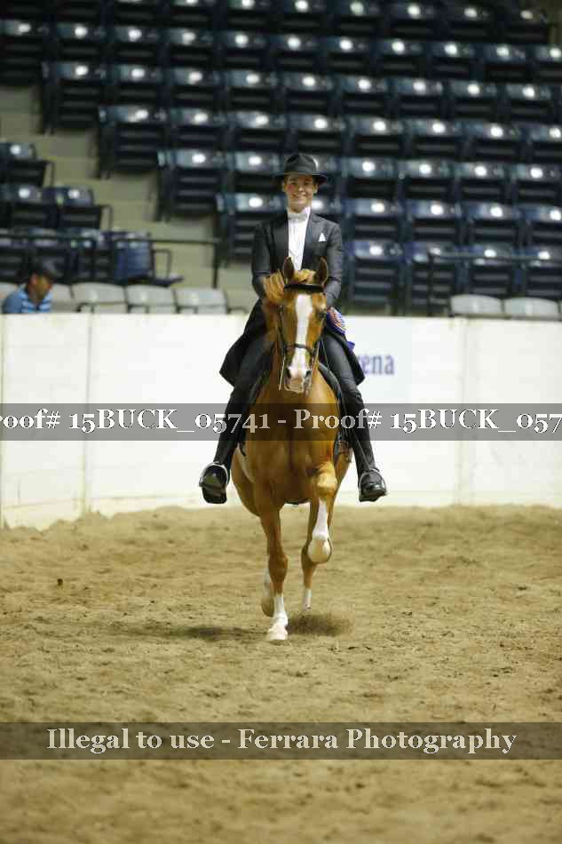 Proof Number 15BUCK_05741