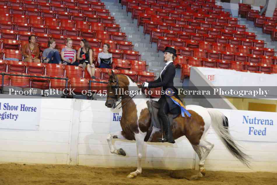 Proof Number 15BUCK_05745