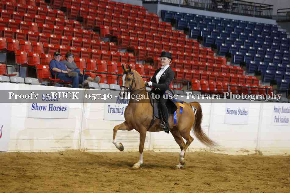 Proof Number 15BUCK_05746