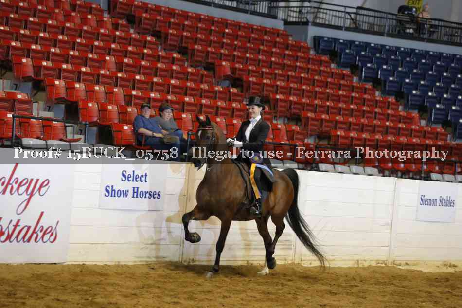 Proof Number 15BUCK_05758