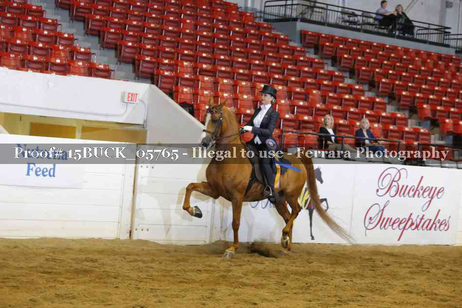 Proof Number 15BUCK_05765