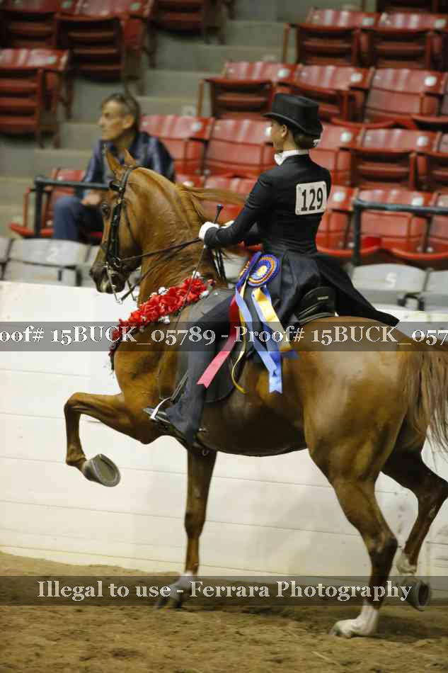 Proof Number 15BUCK_05789