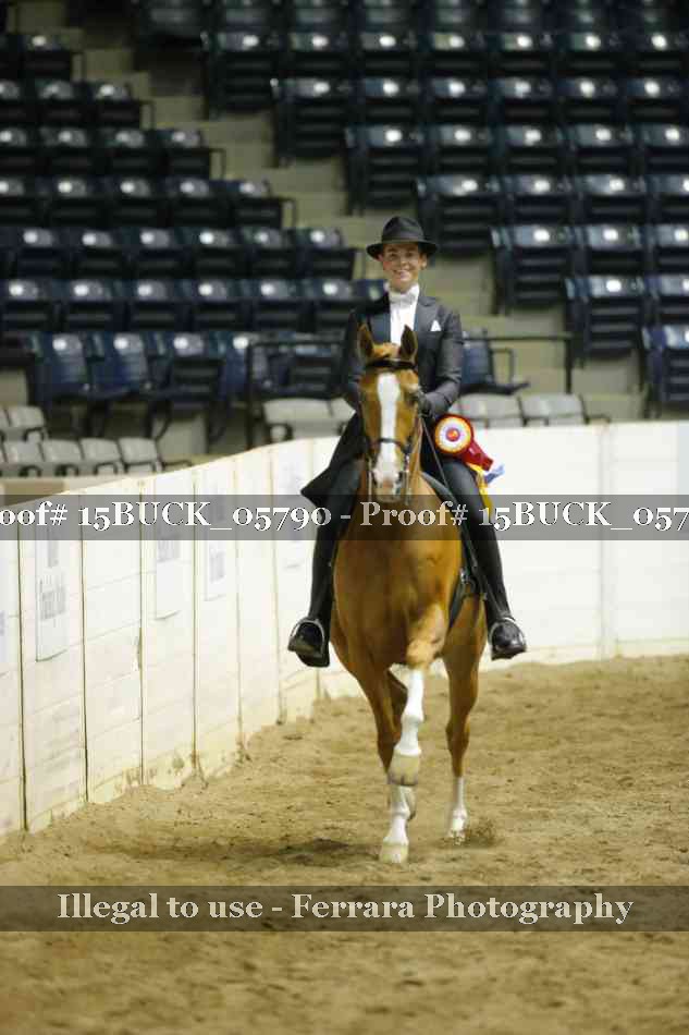 Proof Number 15BUCK_05790
