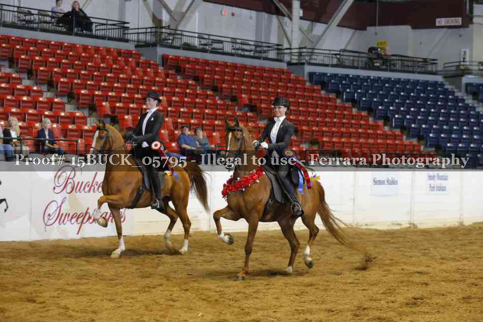 Proof Number 15BUCK_05795
