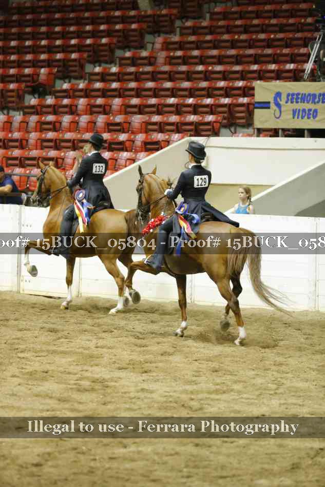 Proof Number 15BUCK_05804