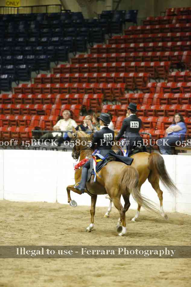 Proof Number 15BUCK_05805