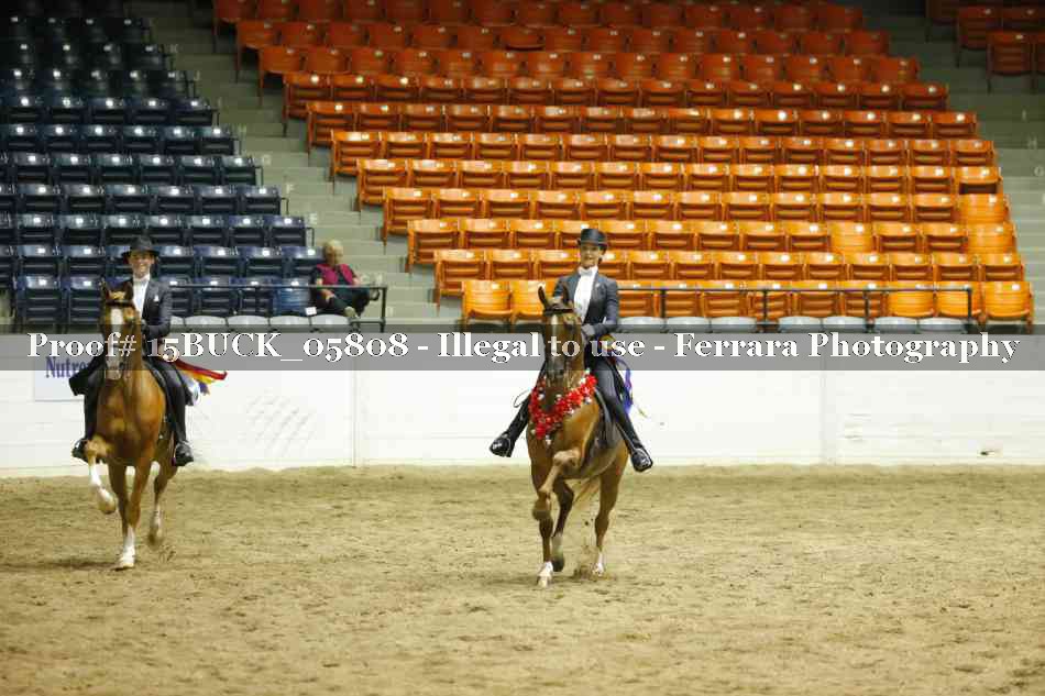 Proof Number 15BUCK_05808