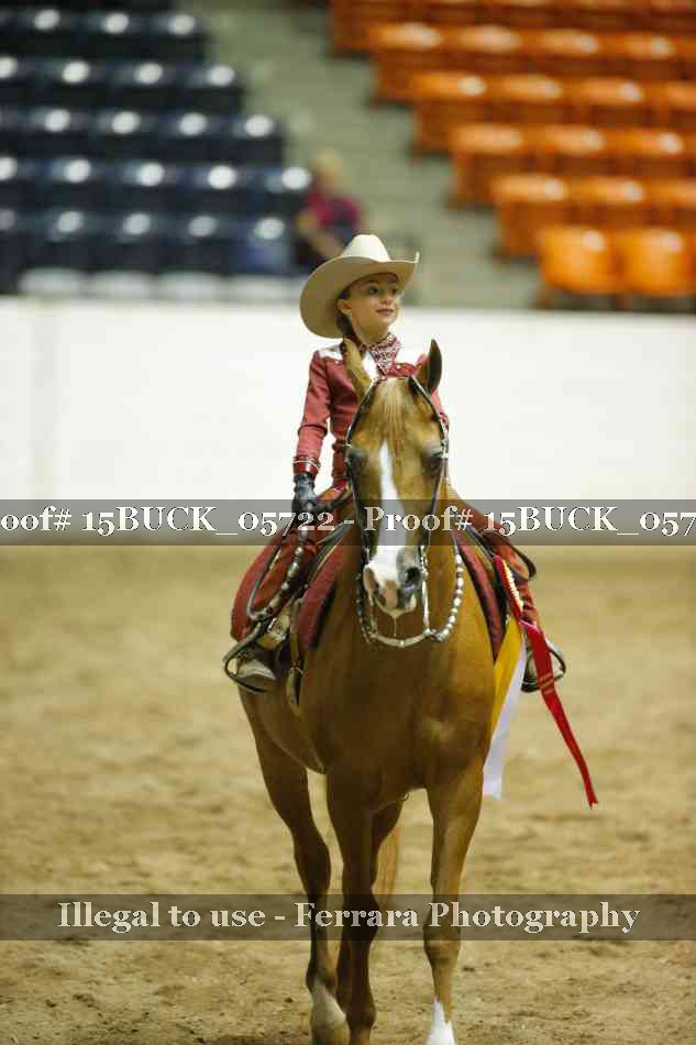 Proof Number 15BUCK_05722