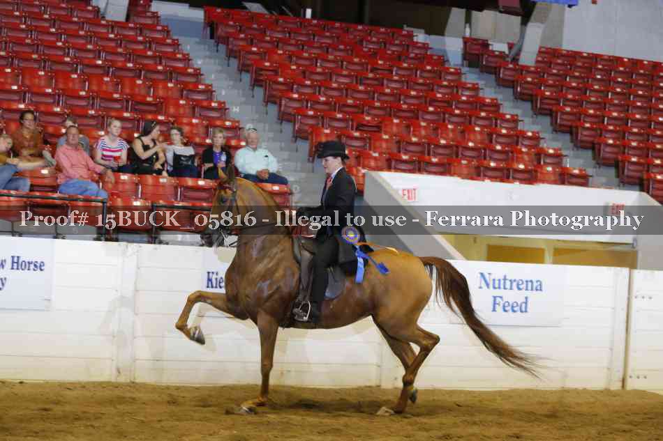 Proof Number 15BUCK_05816