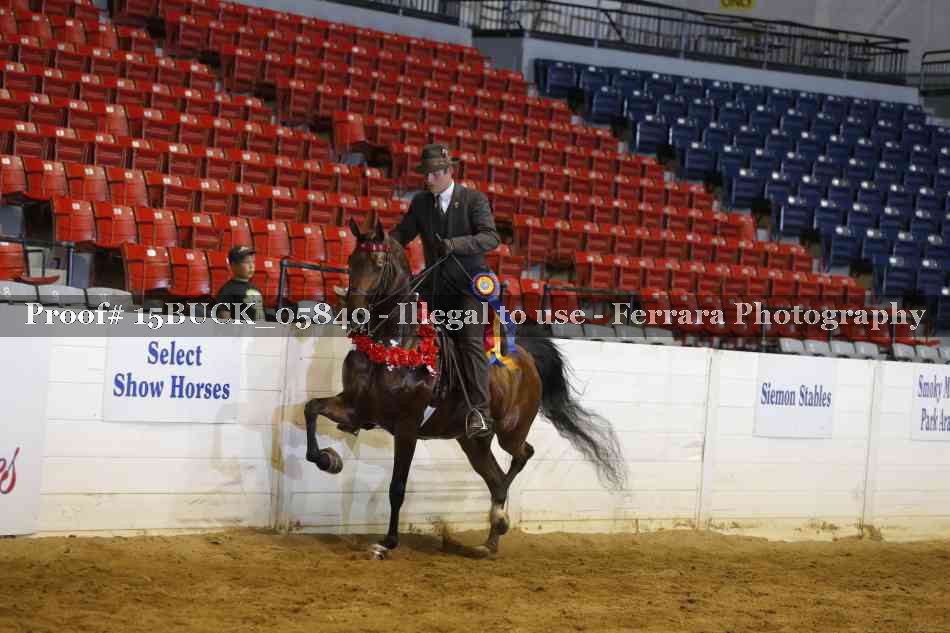 Proof Number 15BUCK_05840