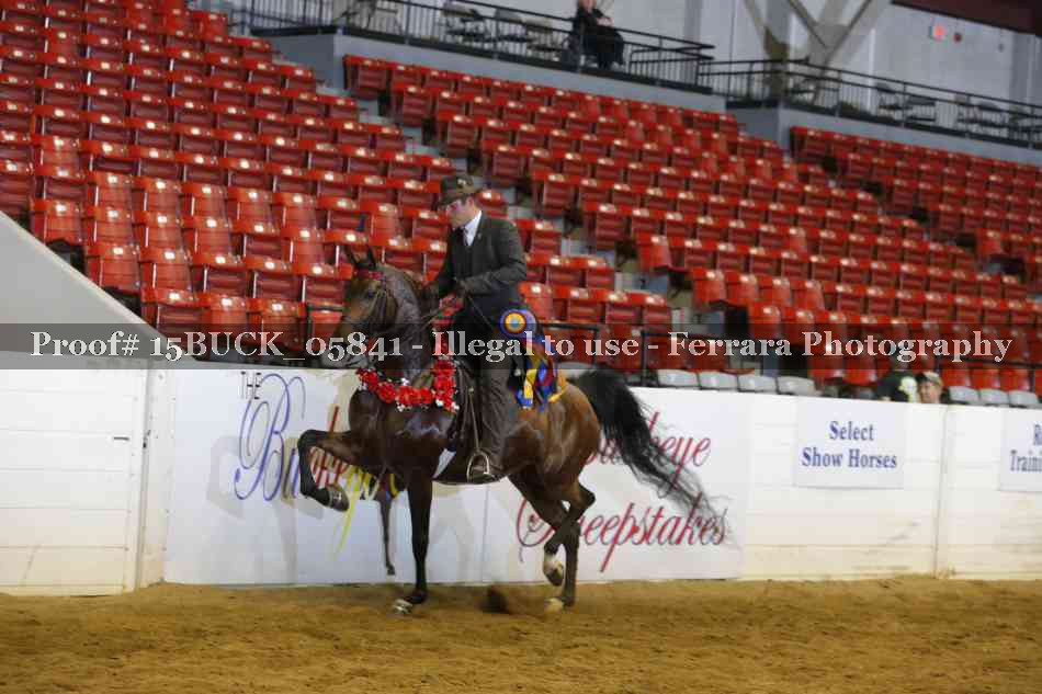 Proof Number 15BUCK_05841