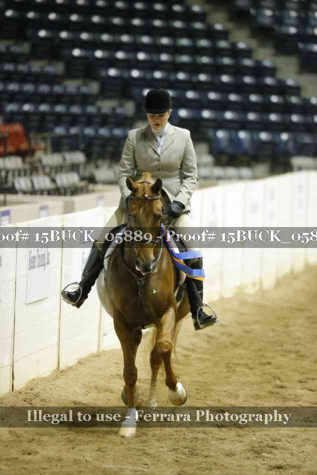 Proof Number 15BUCK_05889