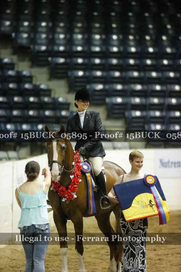Proof Number 15BUCK_05895