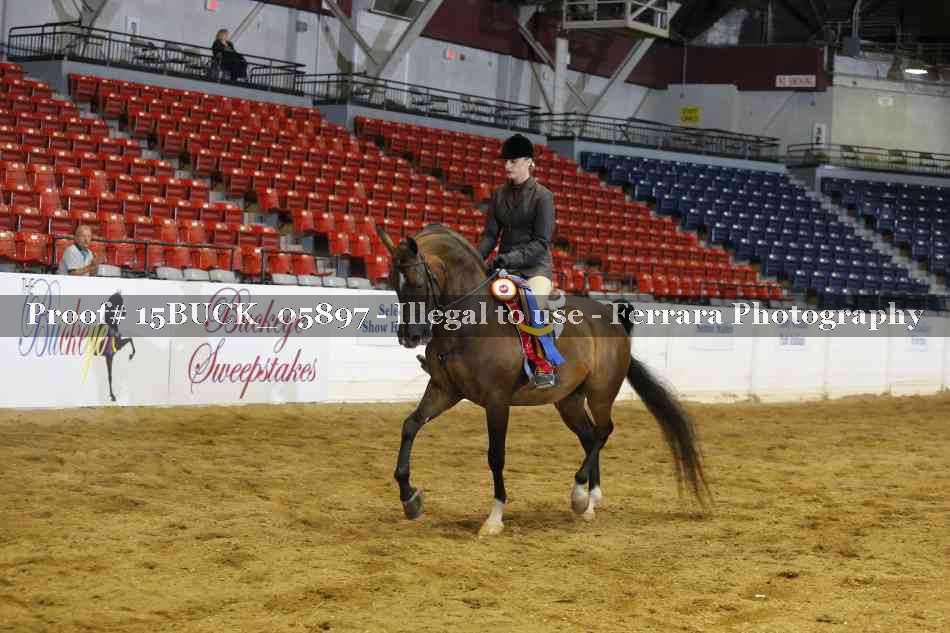 Proof Number 15BUCK_05897