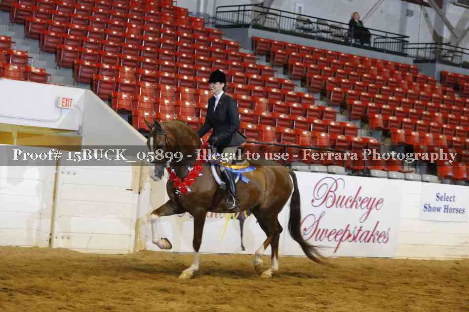 Proof Number 15BUCK_05899