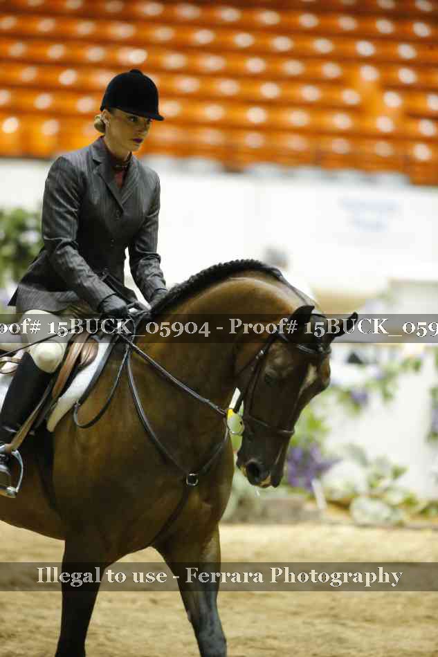 Proof Number 15BUCK_05904