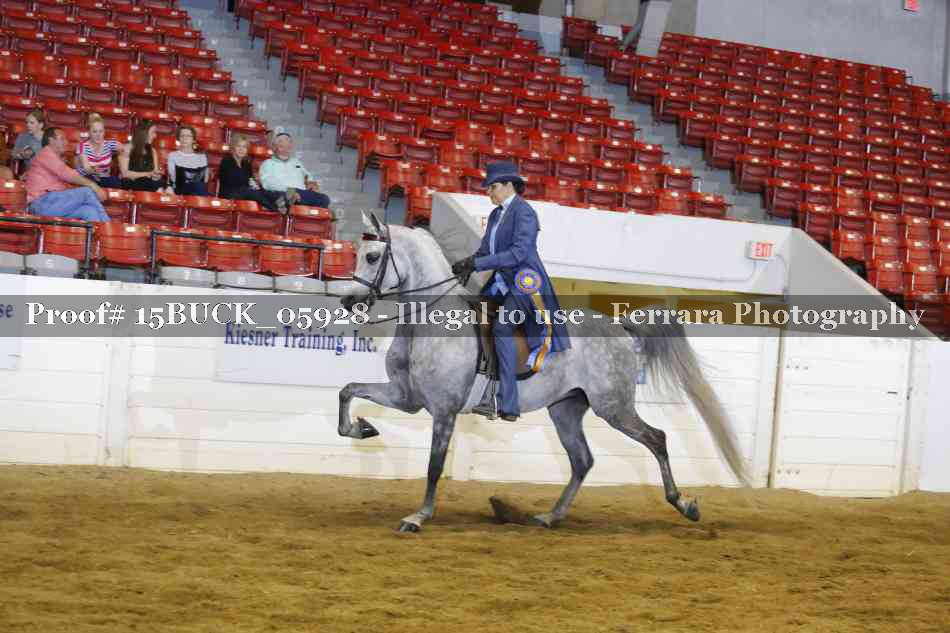 Proof Number 15BUCK_05928