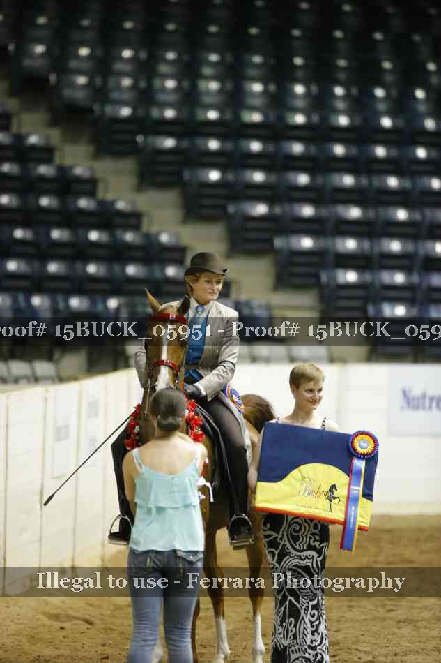 Proof Number 15BUCK_05951