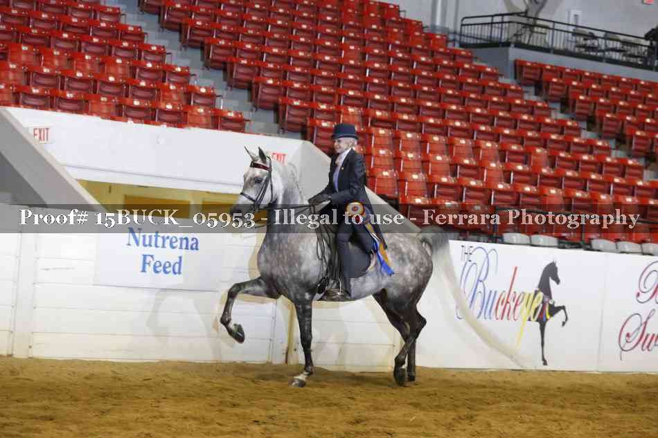 Proof Number 15BUCK_05953