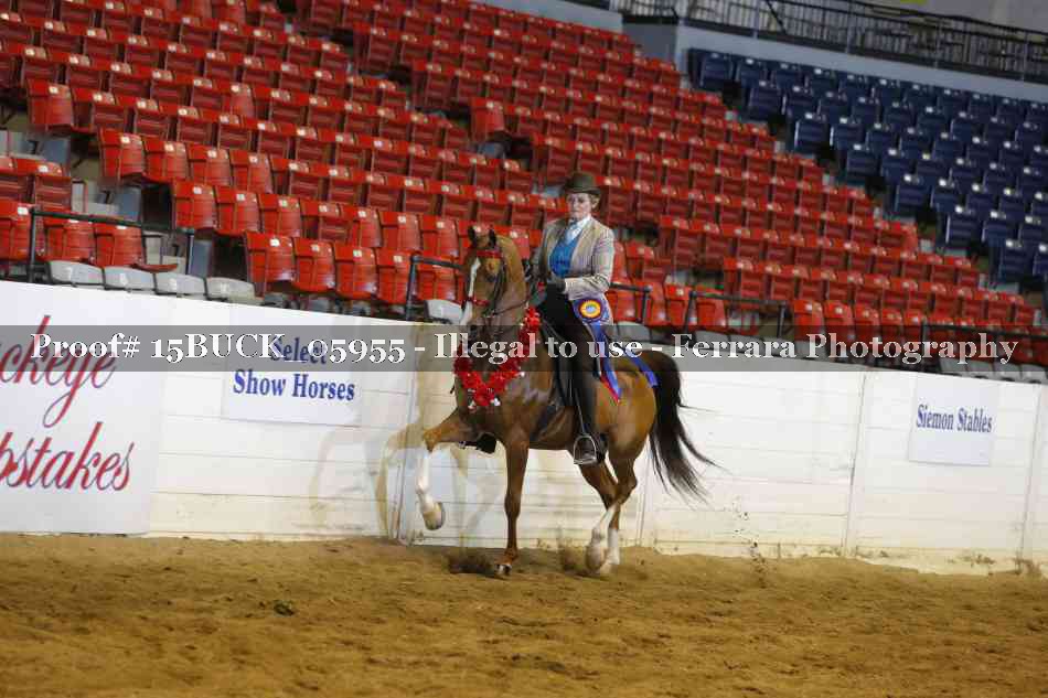Proof Number 15BUCK_05955