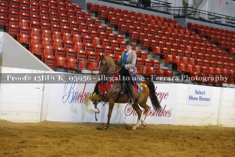 Proof Number 15BUCK_05956