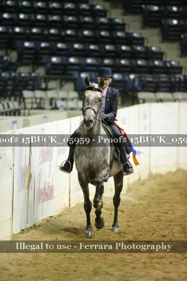 Proof Number 15BUCK_05959