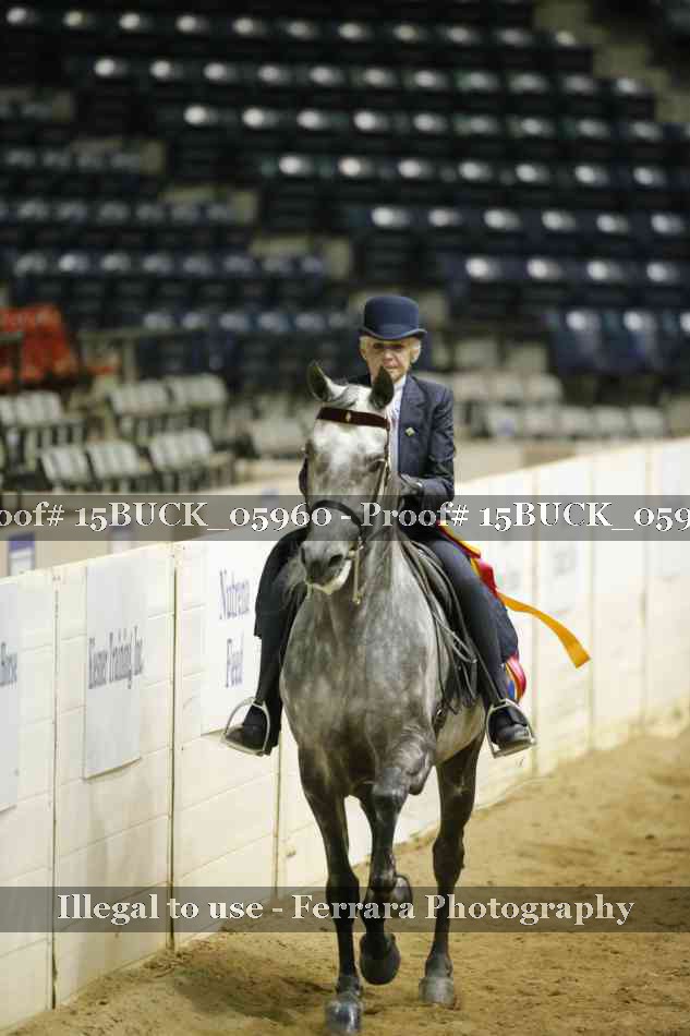 Proof Number 15BUCK_05960