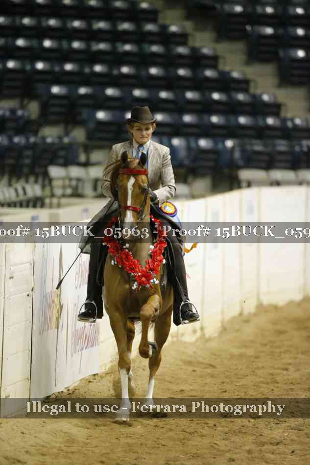 Proof Number 15BUCK_05963