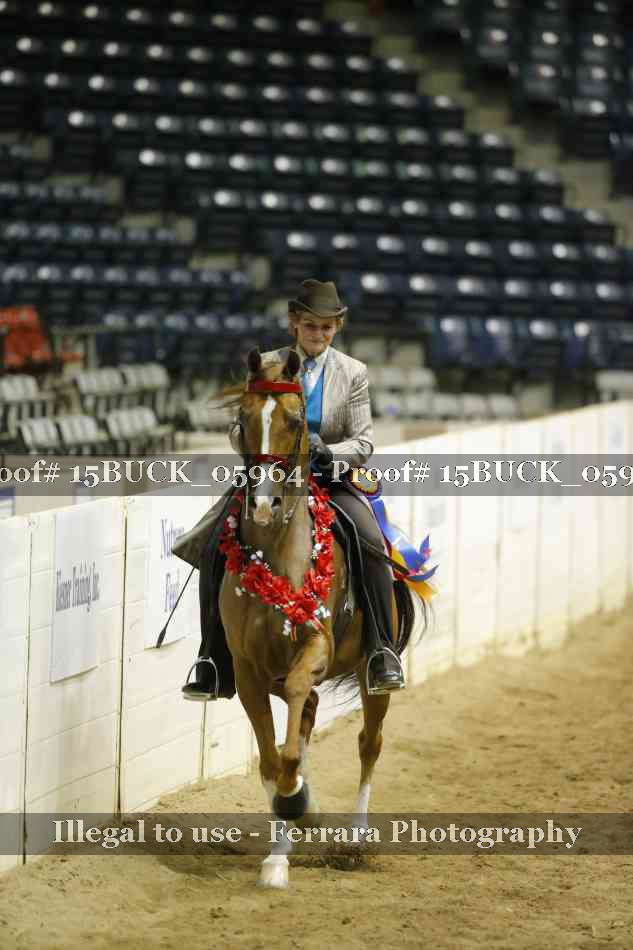 Proof Number 15BUCK_05964