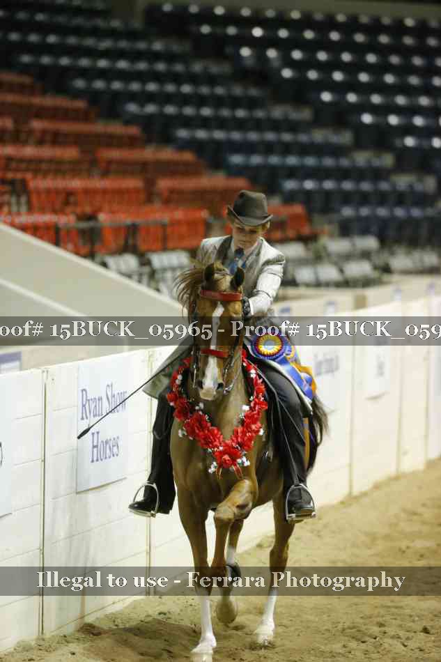 Proof Number 15BUCK_05965