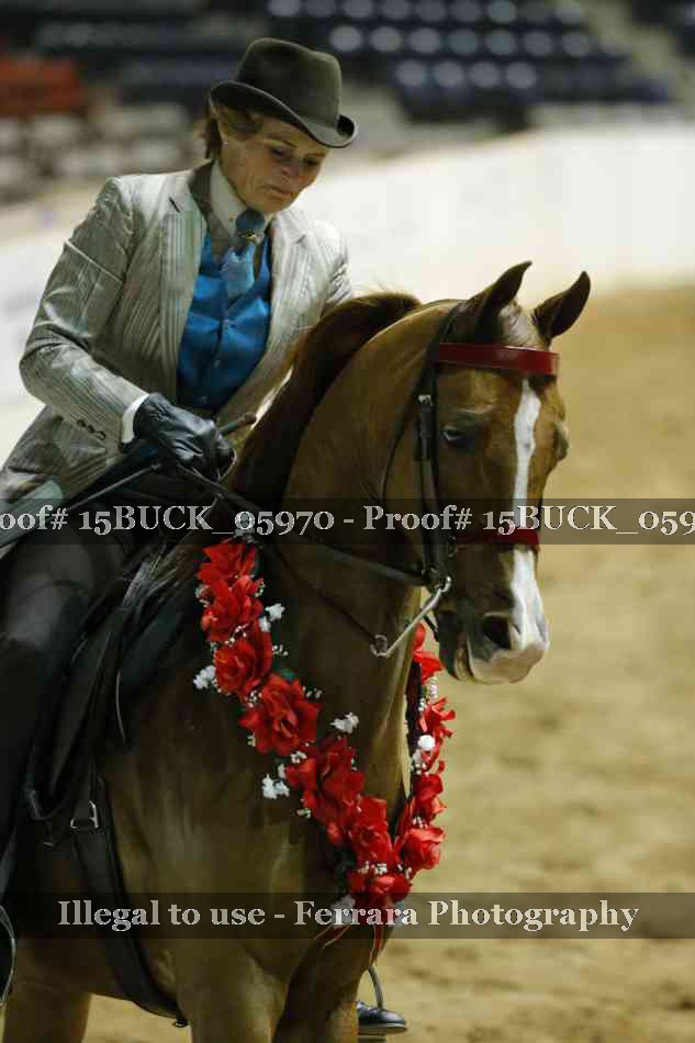 Proof Number 15BUCK_05970