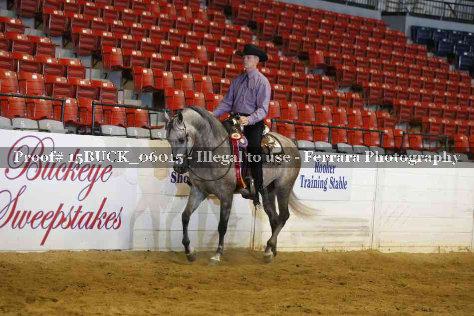Proof Number 15BUCK_06015