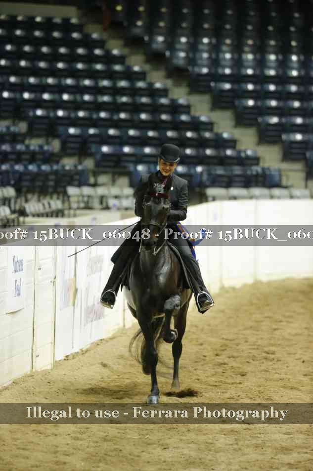 Proof Number 15BUCK_06048