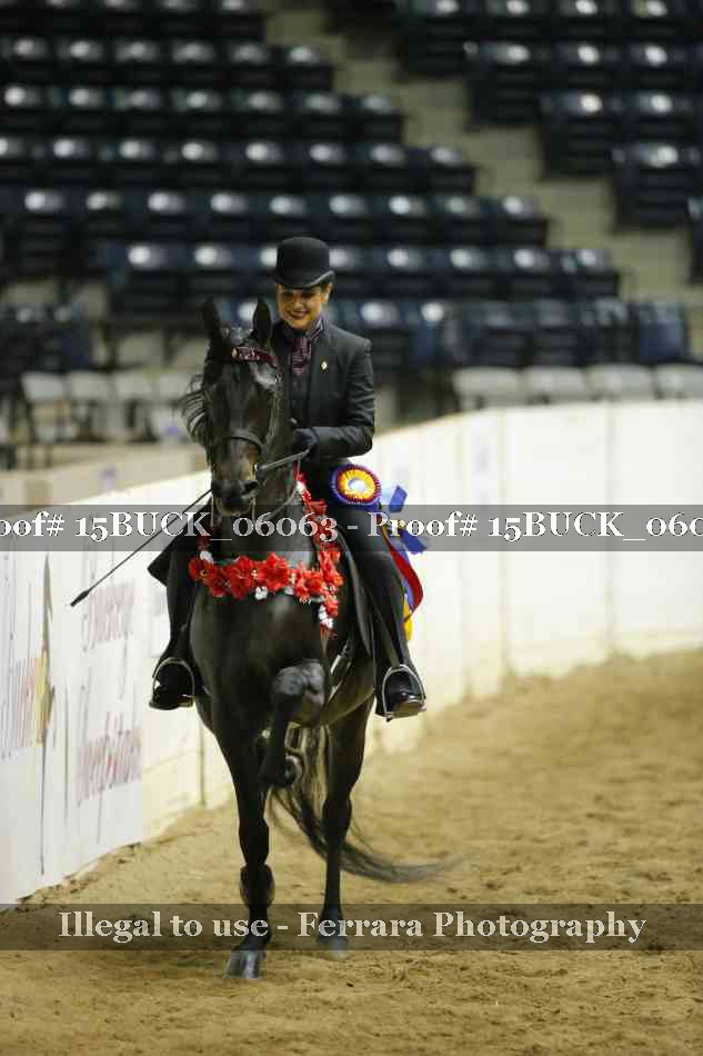Proof Number 15BUCK_06063