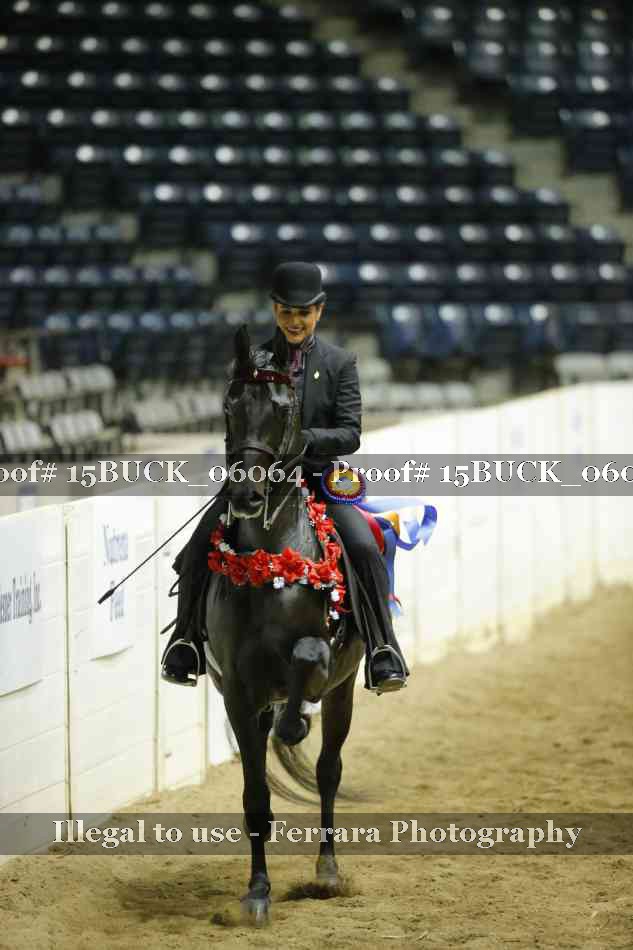 Proof Number 15BUCK_06064