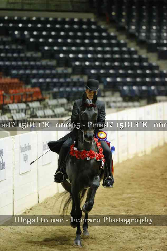 Proof Number 15BUCK_06065