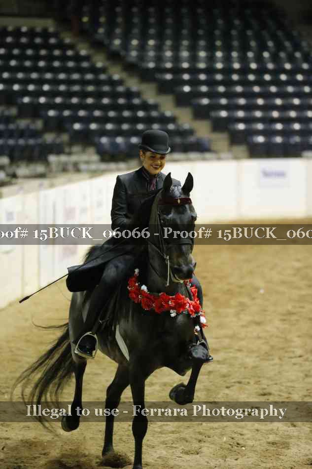 Proof Number 15BUCK_06066